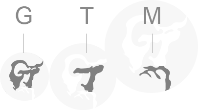 “GTM”三個(gè)英文字母組成，代表黃金時(shí)代管理：